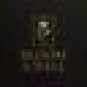 Bloom & Wall – Designer Peel & Stick Wallpapers