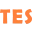 TESmart