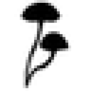 Auri Nutrition