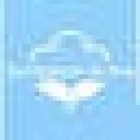 LIVLIT ORGANIC PADS & LINERS (US)