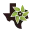 Texas Superfood
