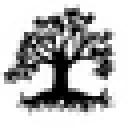The Dragontree Afilliate Program (US)