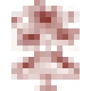 Isla Capricho Homeware